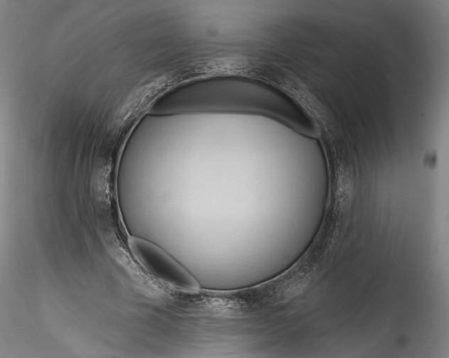 X0000115790585200911271229