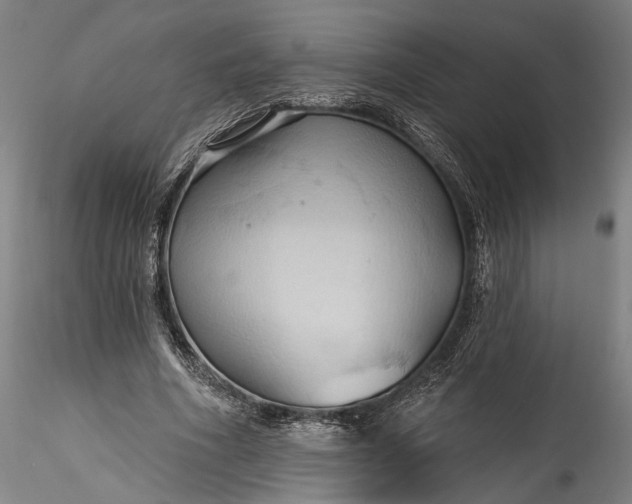 X0000115790586200911271229