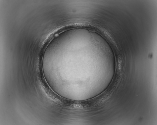 X0000115790588200911271229