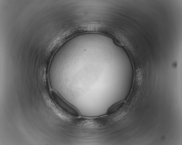 X0000115790589200911271229