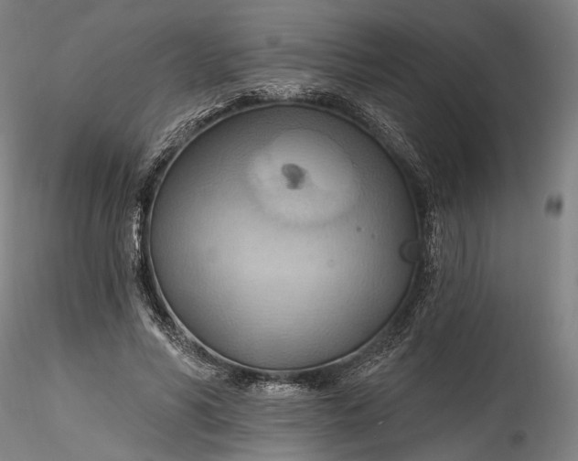 X0000115790590200911271229