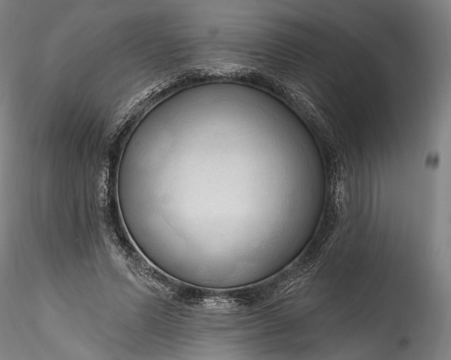 X0000115790591200911271229