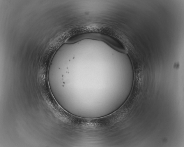 X0000115790593200911271229