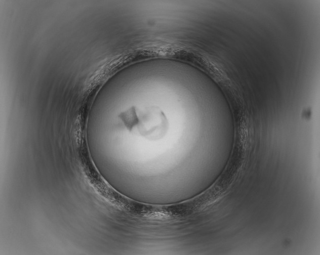 X0000115790594200911271229