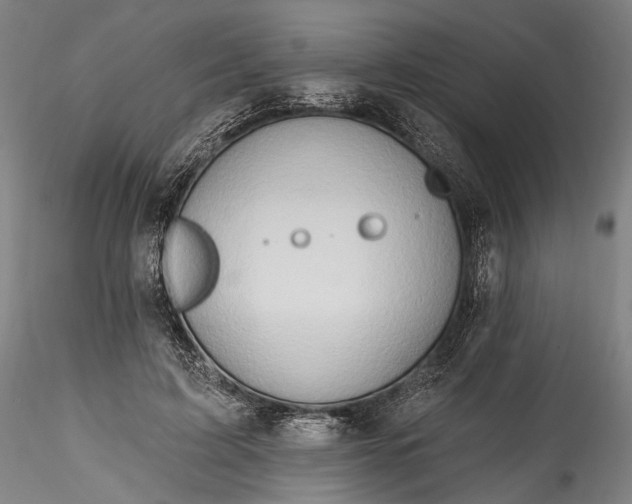 X0000115790595200911271229