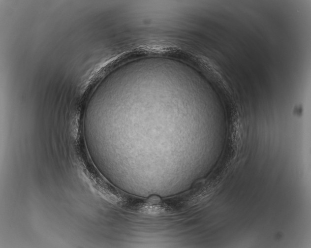 X0000115790596200911271228