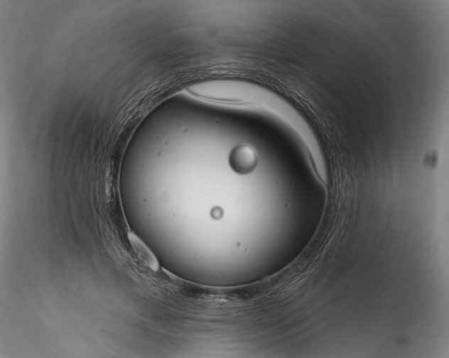 X0000115790597200911271228