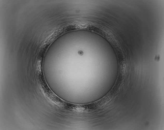 X0000115790598200911271228