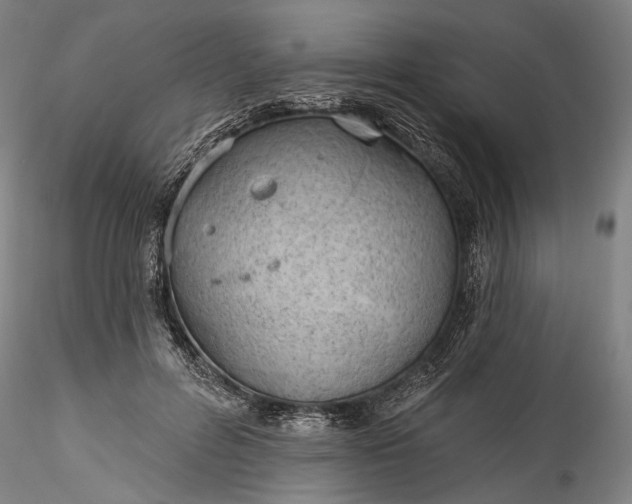 X0000115790600200911271228