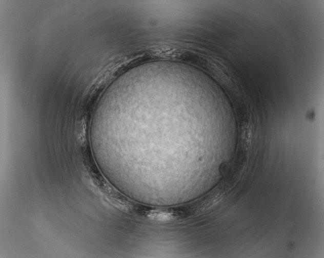 X0000115790602200911271228