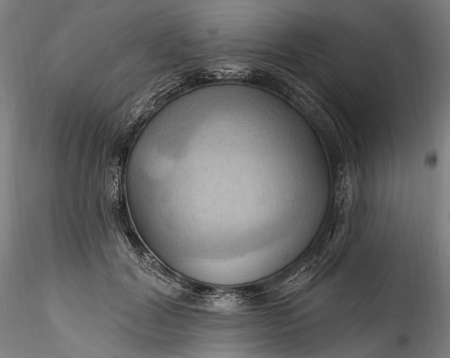 X0000115790604200911271228