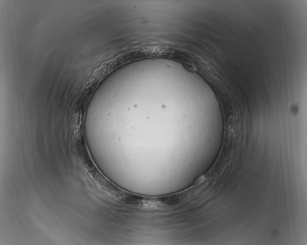 X0000115790605200911271228