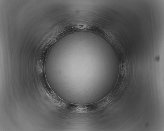 X0000115790606200911271228