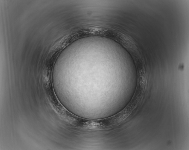 X0000115790607200911271228