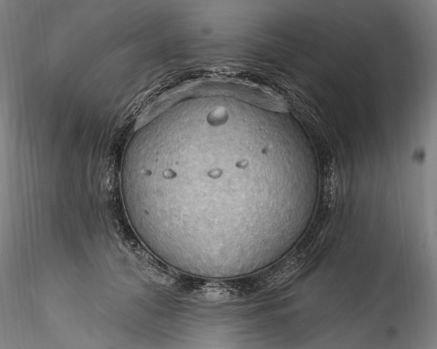 X0000115790608200911271228