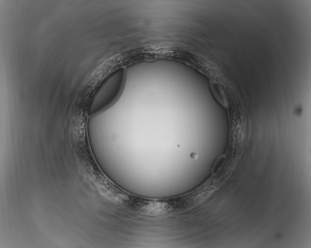 X0000115790609200911271228