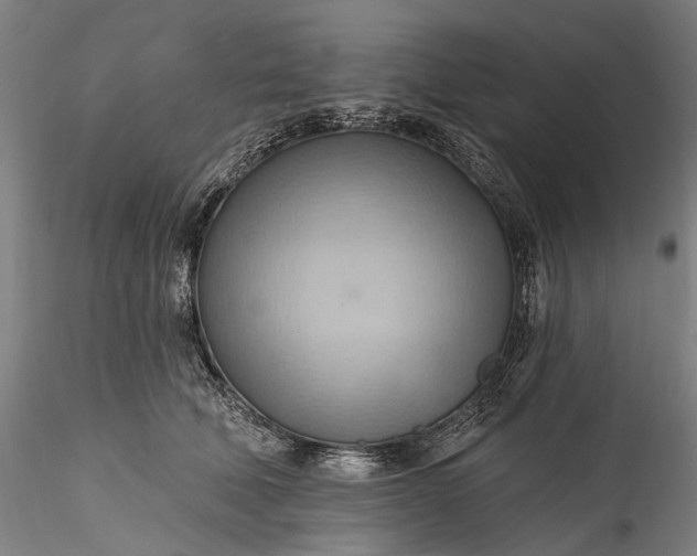 X0000115790610200911271228