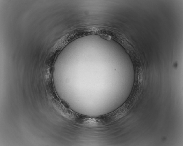 X0000115790611200911271228