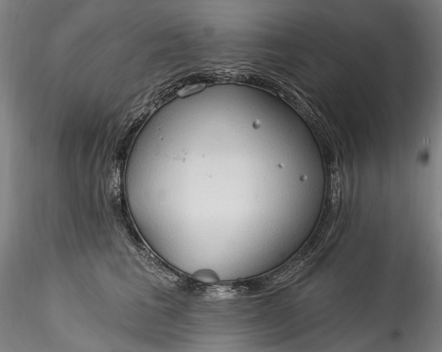 X0000115790613200911271228