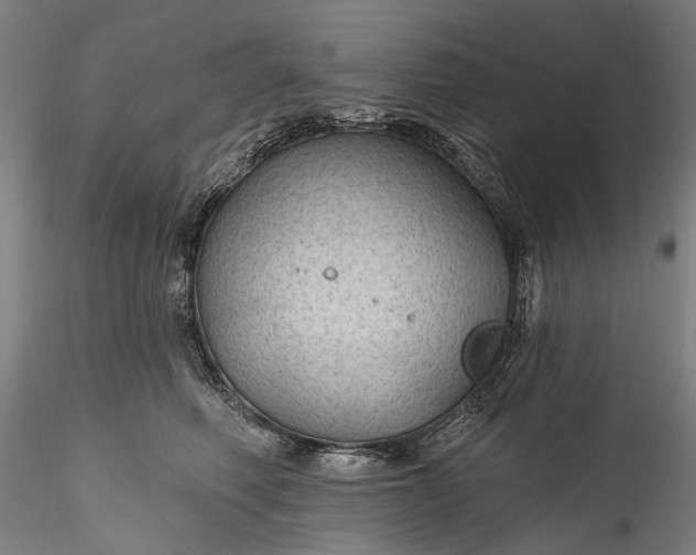 X0000115790614200911271228