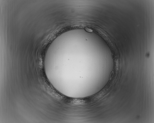 X0000115790617200911271228