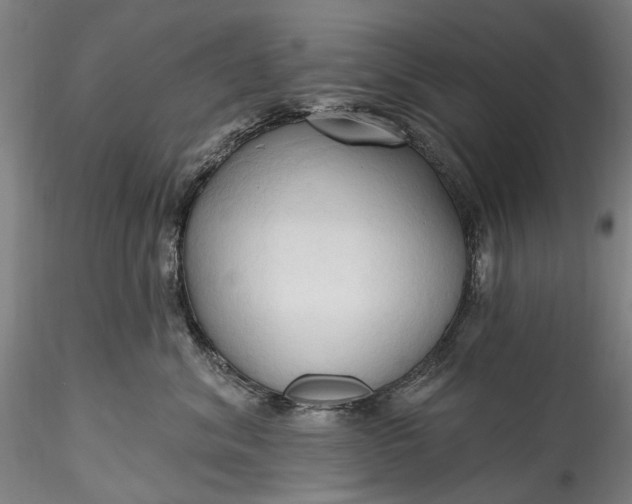 X0000115790620200911271228