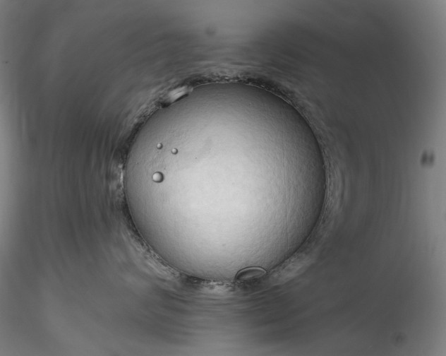 X0000115790624200911271228