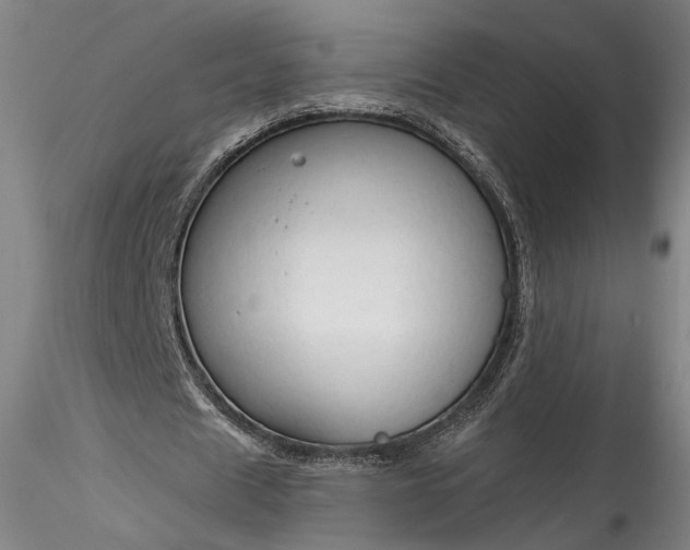 X0000115790625200911271227