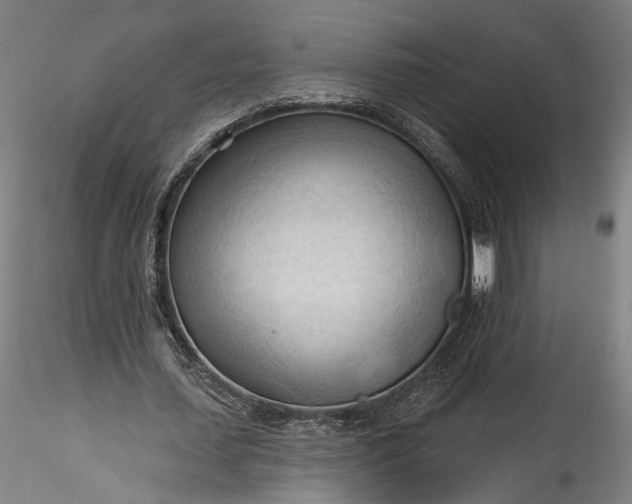 X0000115790627200911271227