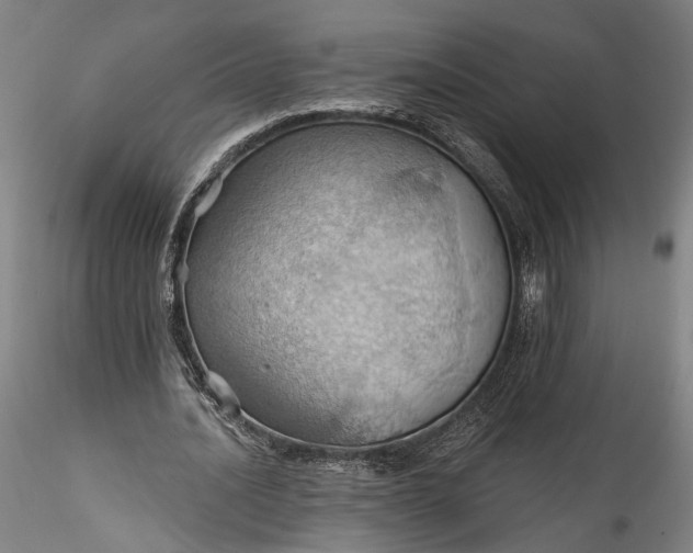 X0000115790628200911271227