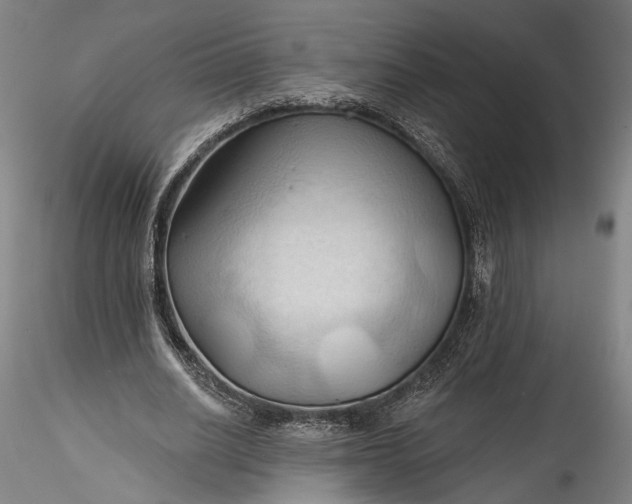 X0000115790630200911271228