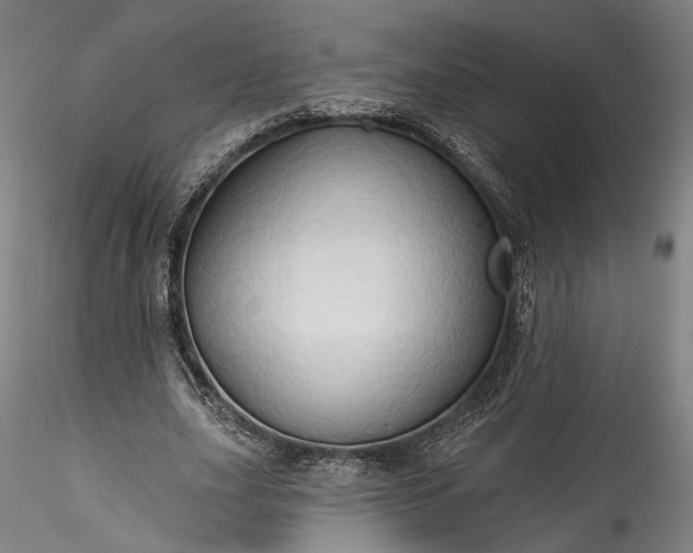 X0000115790631200911271228