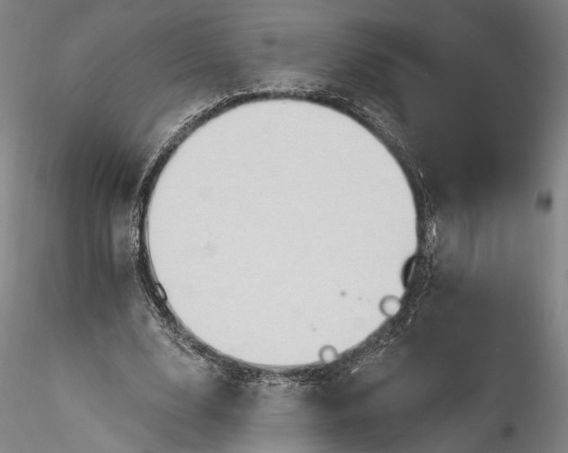 X0000115790632200911271228