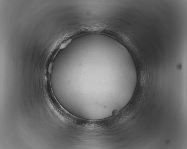 X0000115790634200911271228