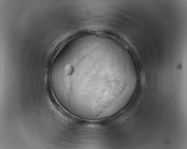 X0000115790637200911271228