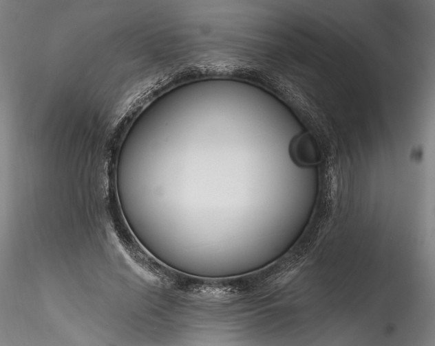 X0000115790638200911271228