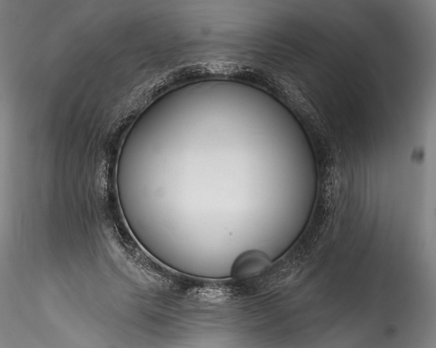 X0000115790639200911271228