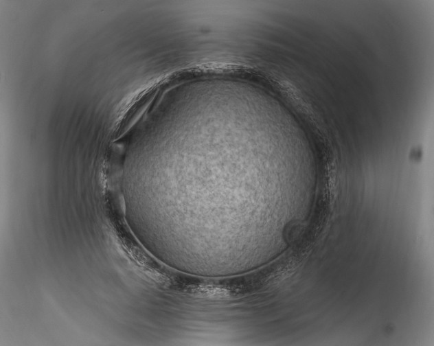 X0000115790640200911271228