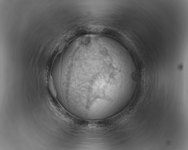 X0000115790641200911271228