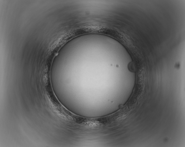 X0000115790642200911271228