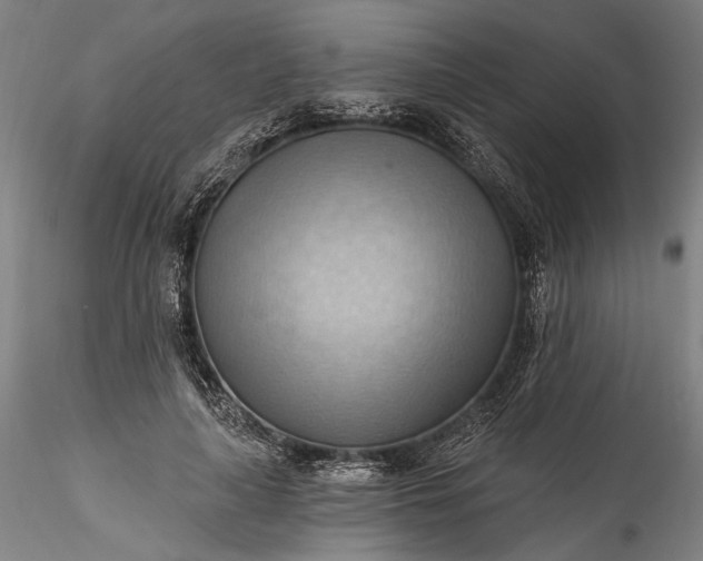 X0000115790643200911271228