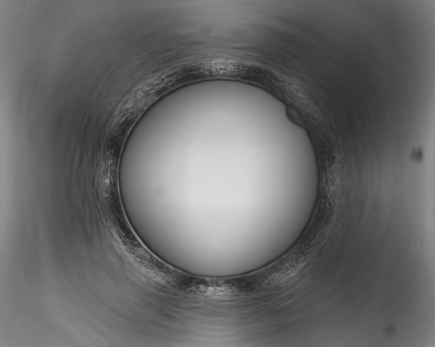 X0000115790645200911271228