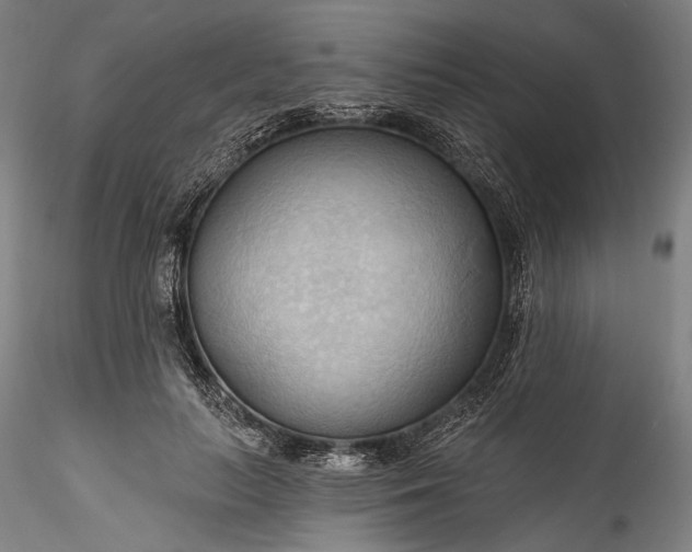 X0000115790647200911271228