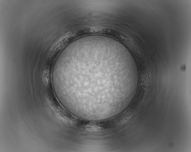 X0000115790648200911271228