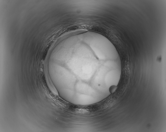 X0000115790649200911271228