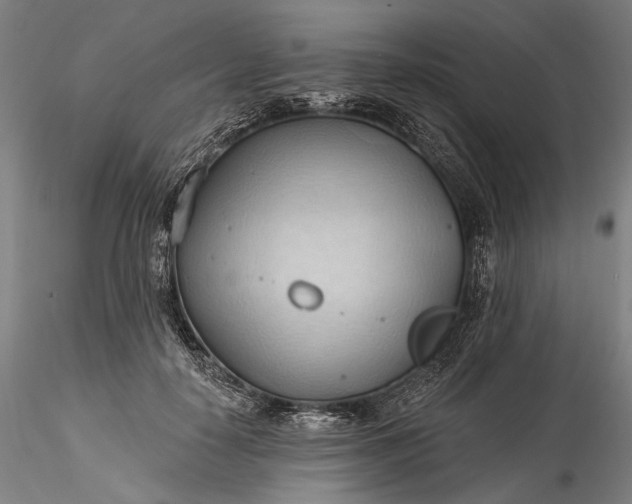 X0000115790650200911271228