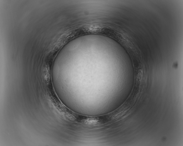 X0000115790651200911271228