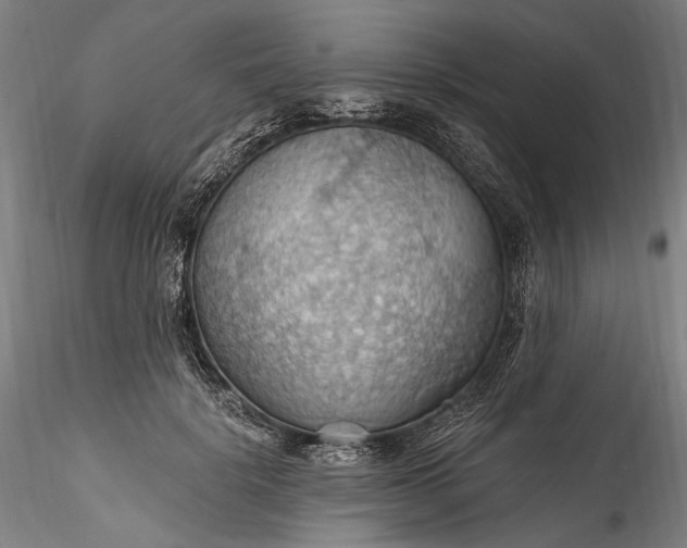 X0000115790652200911271228