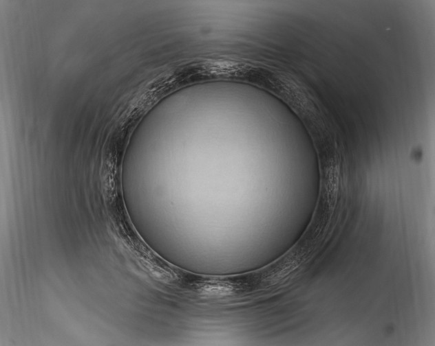 X0000115790653200911271228