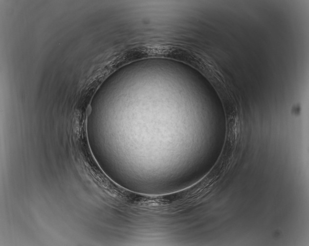 X0000115790655200911271228